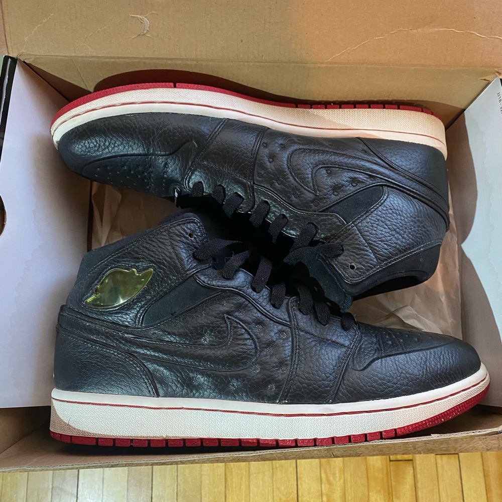Nike Air Jordan 1 retro